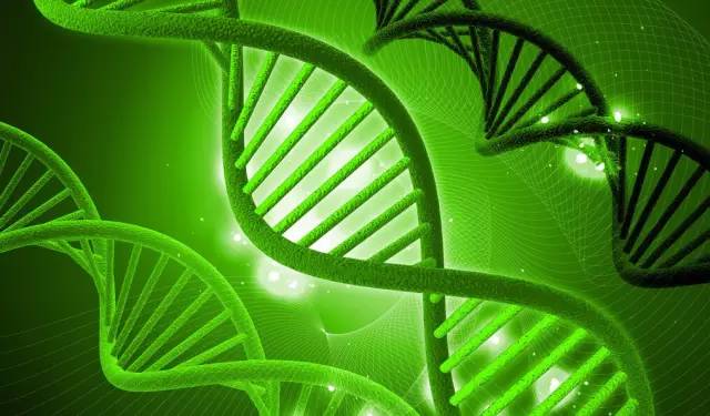 細(xì)胞生物科技投資選址項目 細(xì)胞生物科技投資選址項目