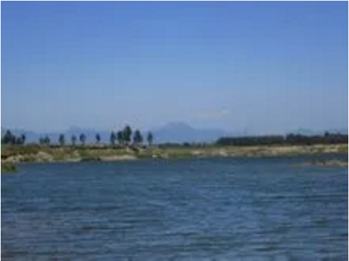 東方龍商務(wù)集團(tuán)助力河北高邑縣委托招商引資，以“新經(jīng)濟(jì)”撬動(dòng)“新引擎”
