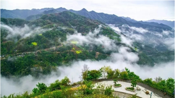 集團(tuán)全力助推甘肅隴南康縣委托招商引資，以綠色發(fā)展推動(dòng)鄉(xiāng)村振興
